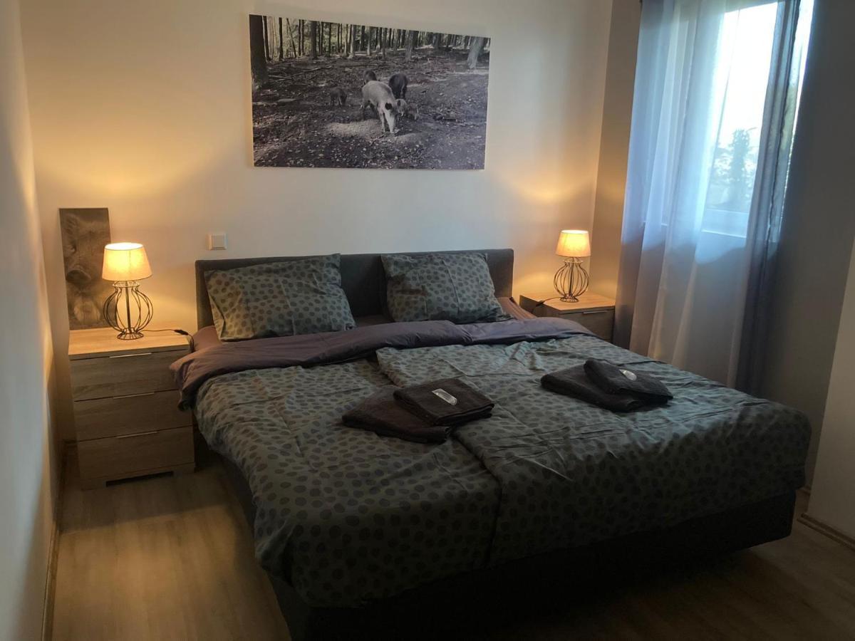 Comfortable 4-Person Apartments Winterberg Medebach Eksteriør bilde